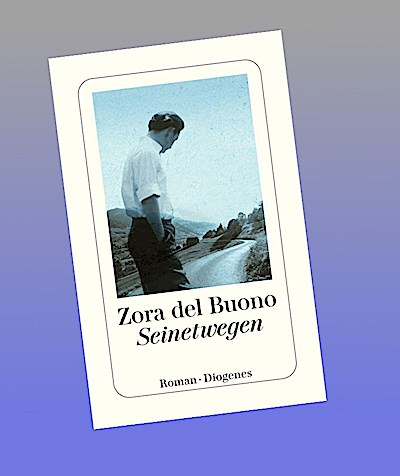 Seinetwegen