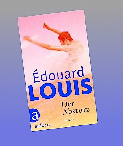 Der Absturz