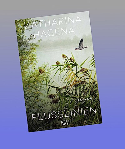 Flusslinien