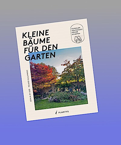 Kleine Bäume für den Garten
